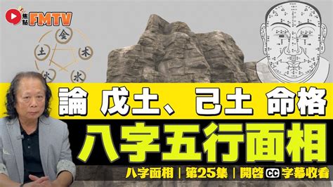 戊己土意思|八字五行性质分析之戊己土 八字中戊己土详解